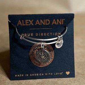 Alex and Ani True Direction Rafaelian Silver Bangle Bracelet